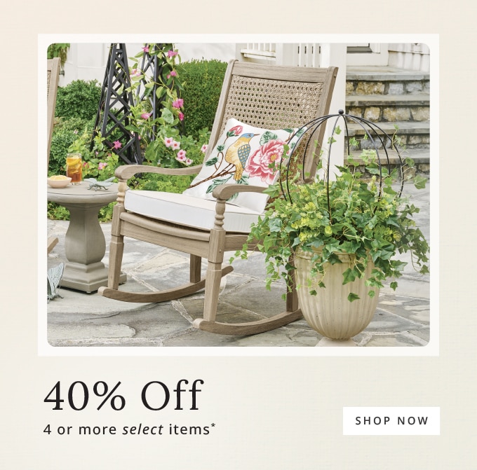 40% Off 4 or More Select Items